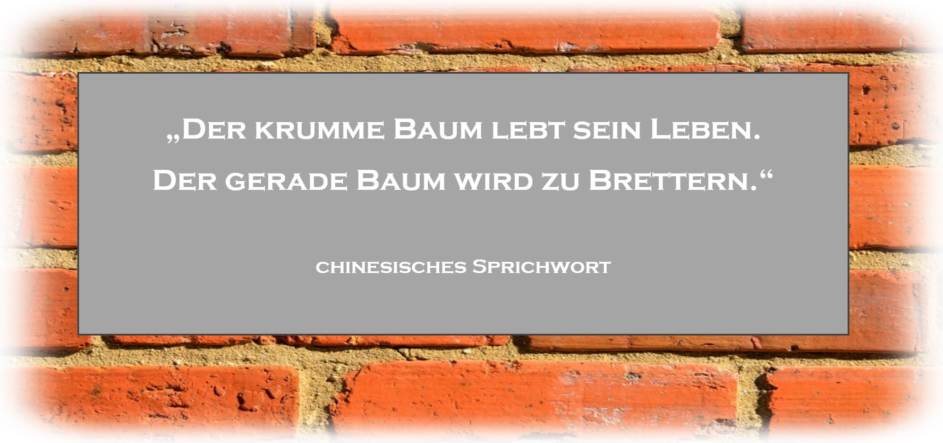 © www.schuster-heiligenstadt.de
