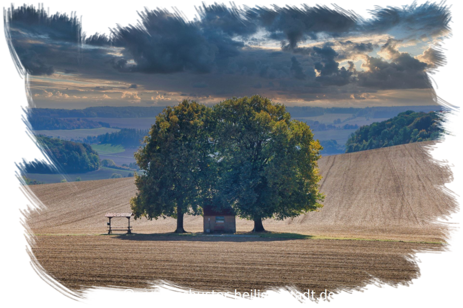 © www.heiligenstadt.net