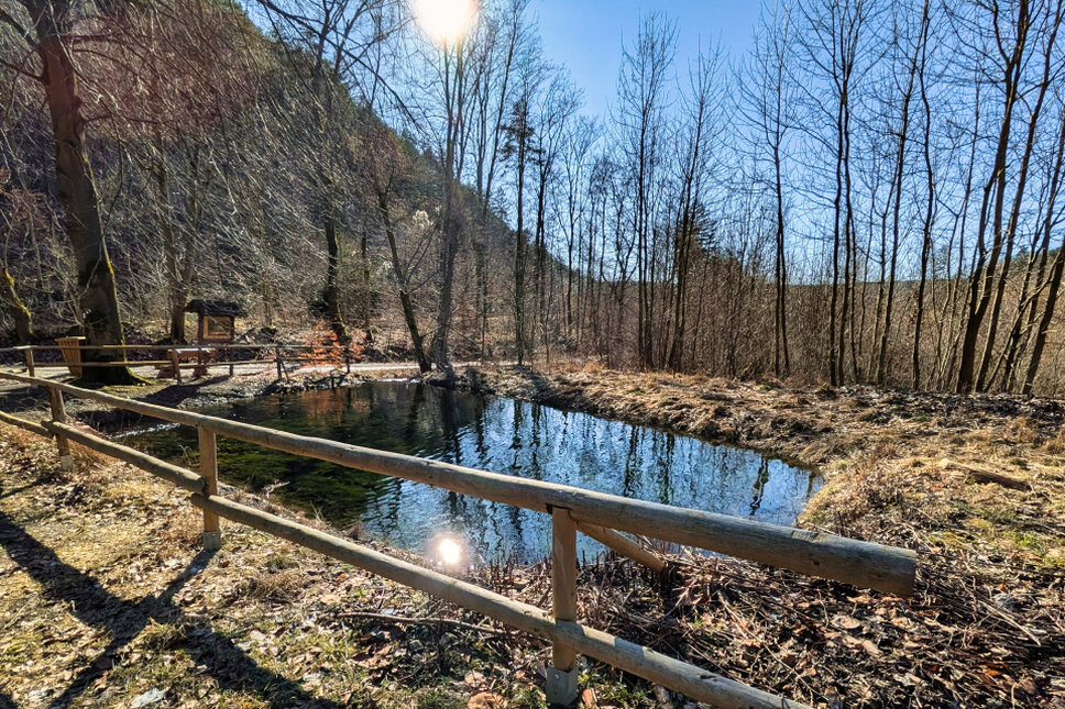 Dachstal Biotop TS © www.heiligenstadt.net