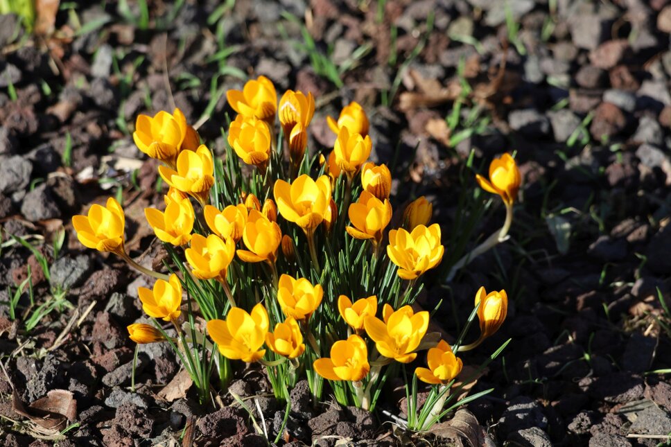 © www.heiligenstadt.net