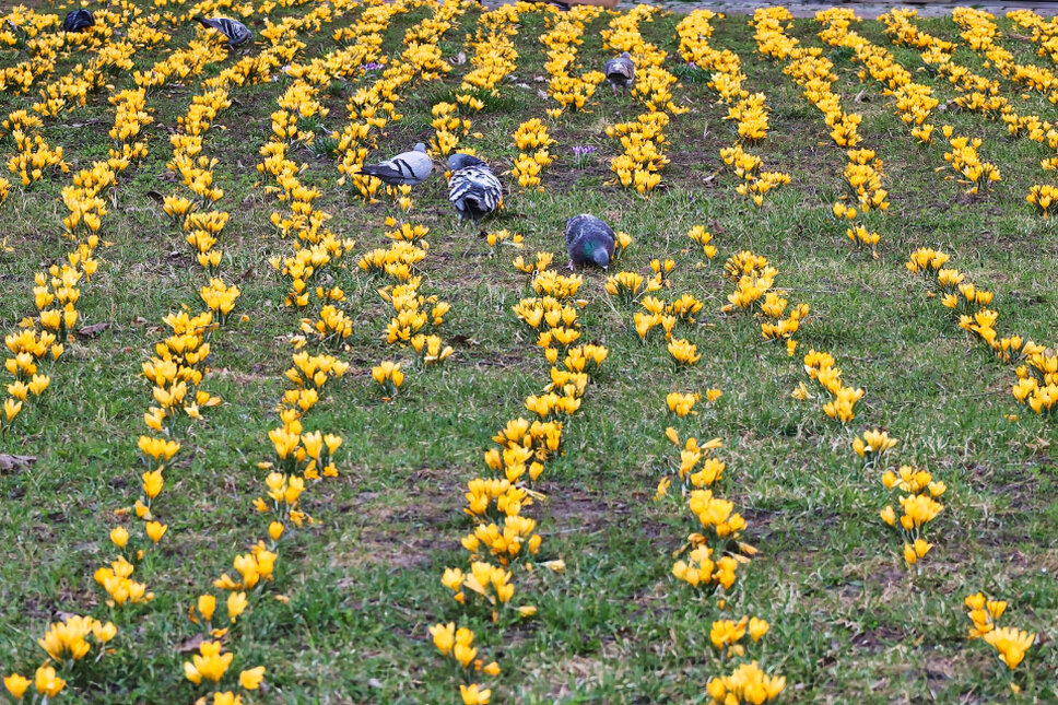 © www.heiligenstadt.net