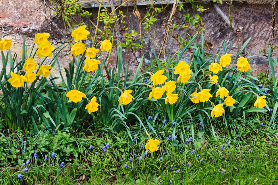 © www.heiligenstadt.net