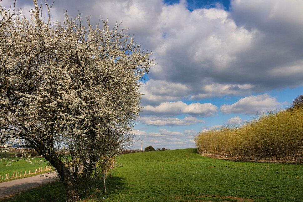 © www.heiligenstadt.net