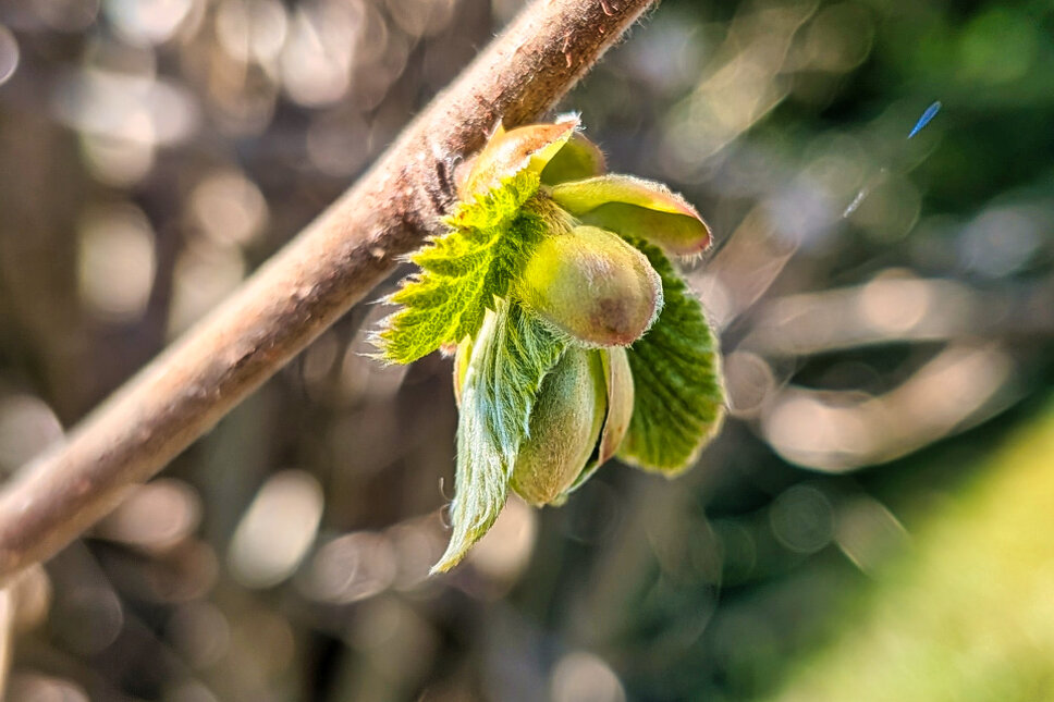 © www.heiligenstadt.net