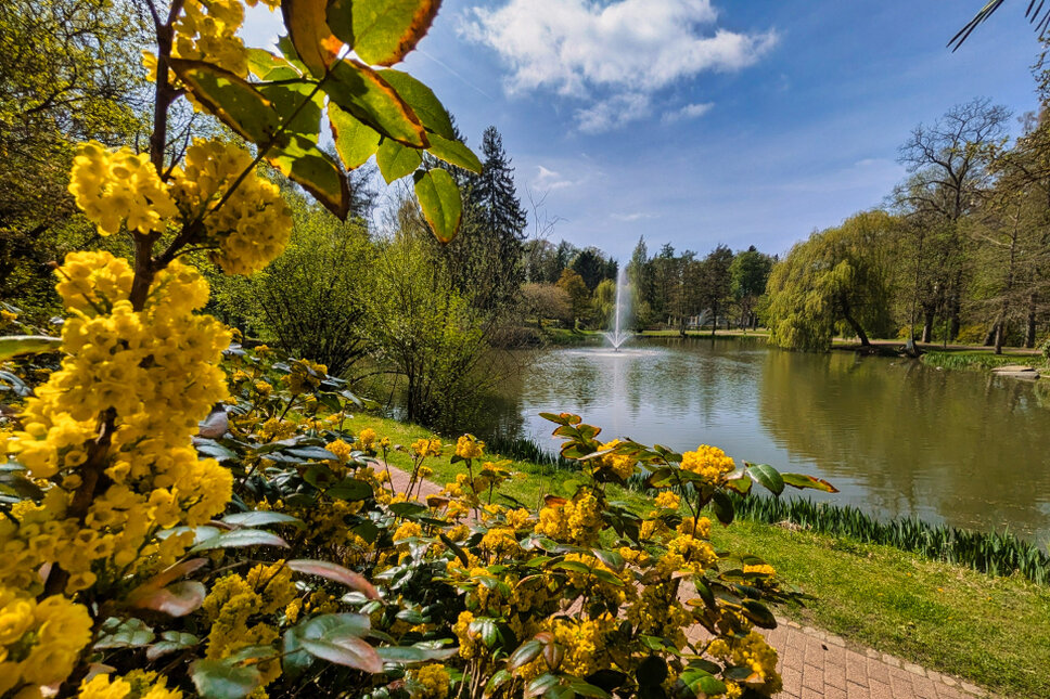 © www.heiligenstadt.net