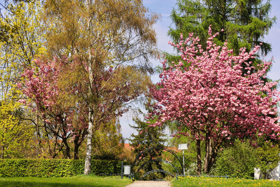© www.heiligenstadt.net