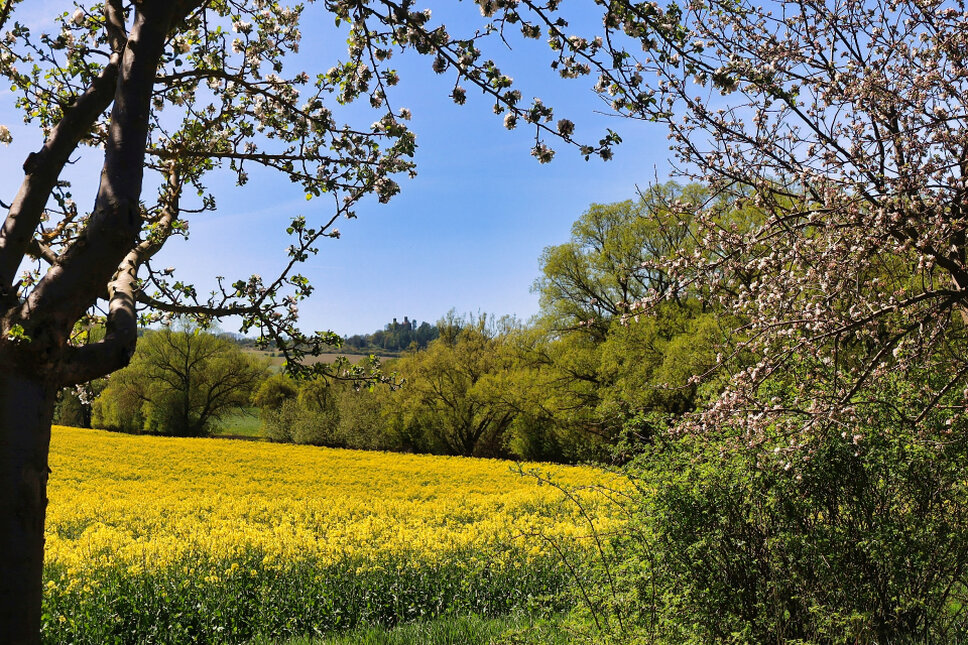 © www.heiligenstadt.net