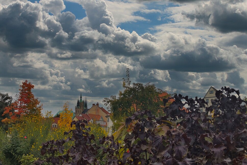 Erfurt 2025 TS © www.heiligenstadt.net
