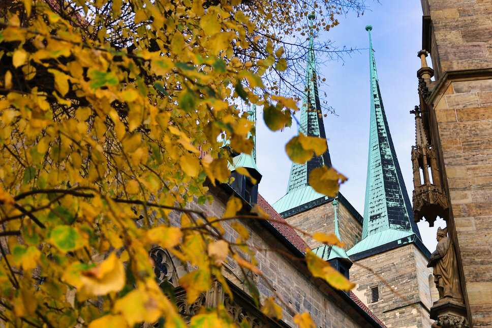 Erfurt Domberg 2025 TS © www.heiligenstadt.net