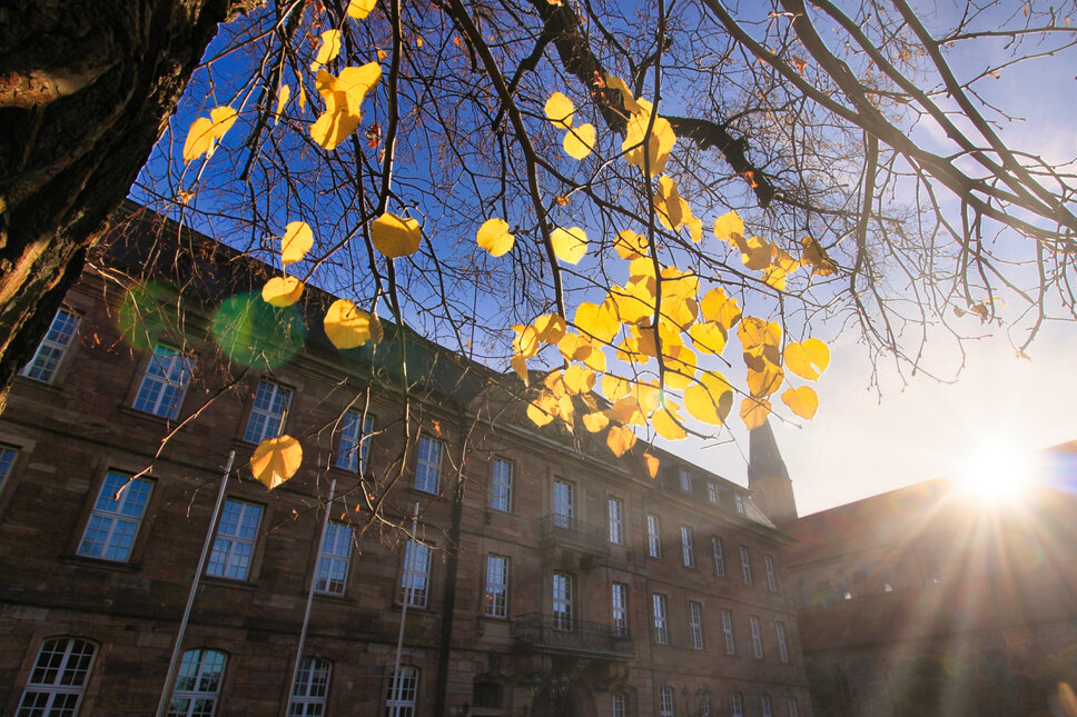 Schloss und Martinskirche Heiligenstadt TS © www.heiligenstadt.net