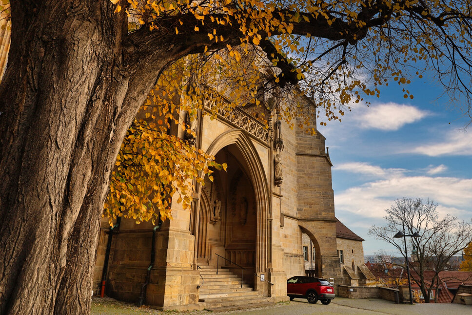 Erfurter Dom Rückseite 2025 TS © www.heiligenstadt.net