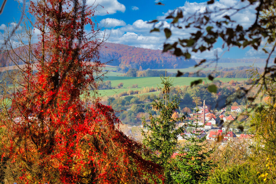 © www.heiligenstadt.net