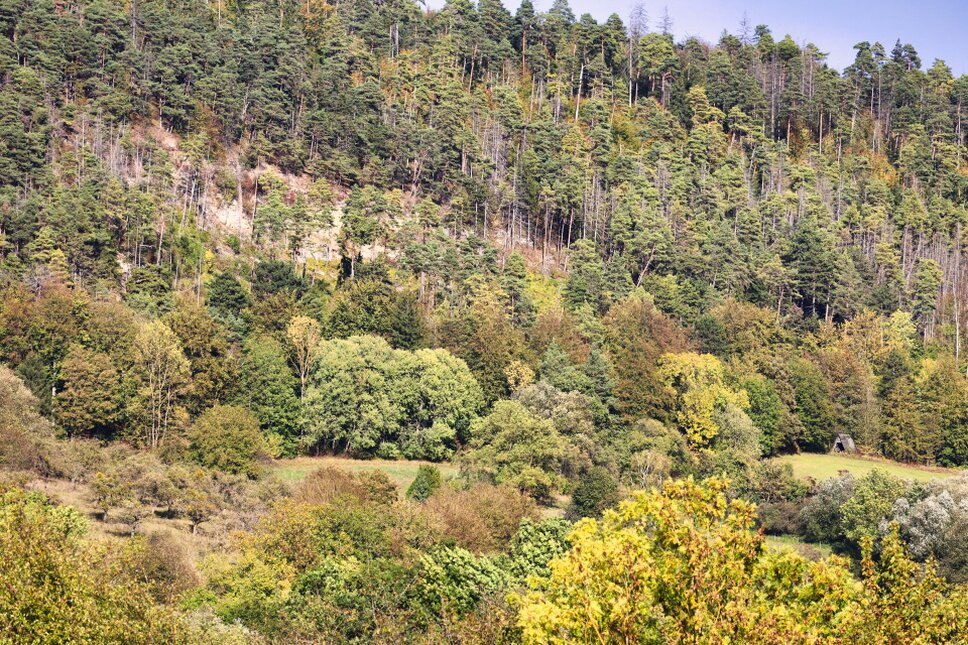 © www.heiligenstadt.net