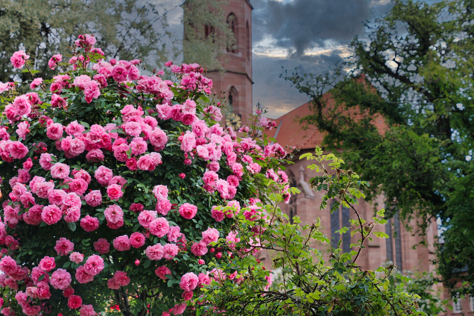 © www.heiligenstadt.net
