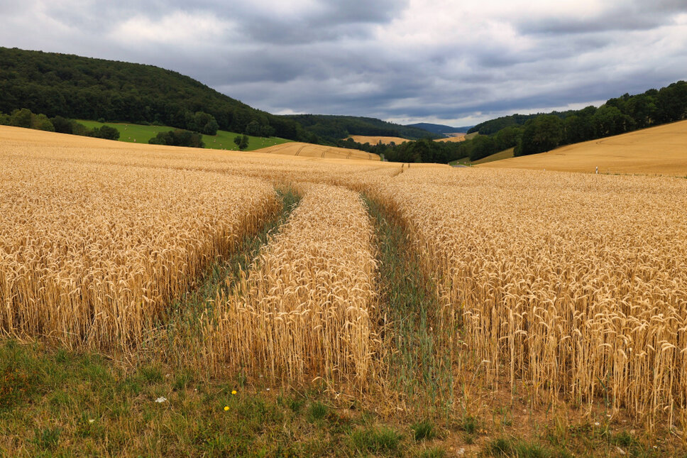 © www.heiligenstadt.net