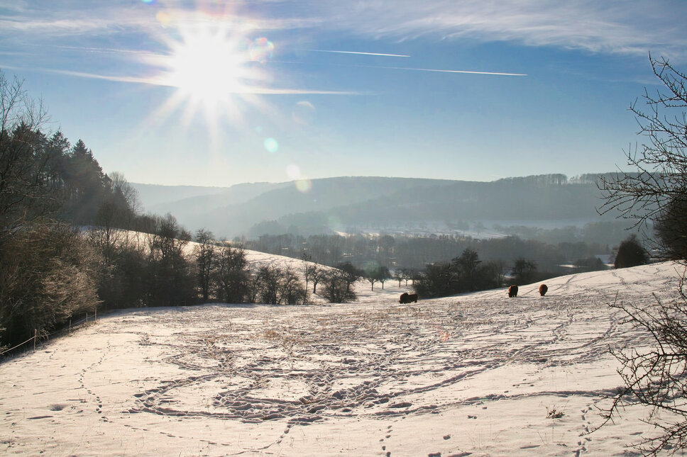 Im Dachstal Heiligenstadt TS © www.heiligenstadt.net