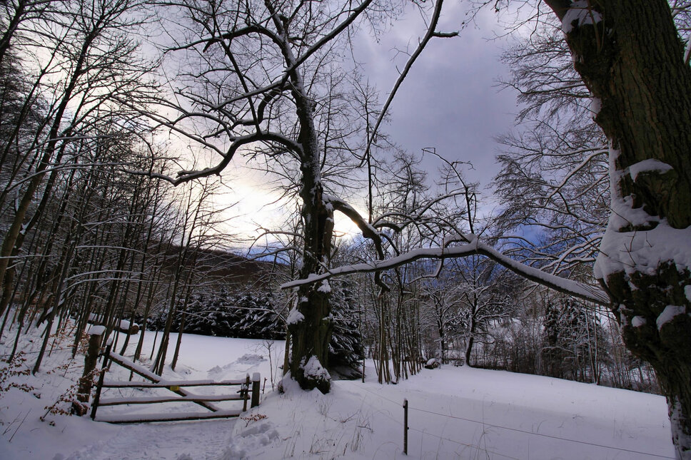 Kloster Zella 2017 © www.heiligenstadt.net