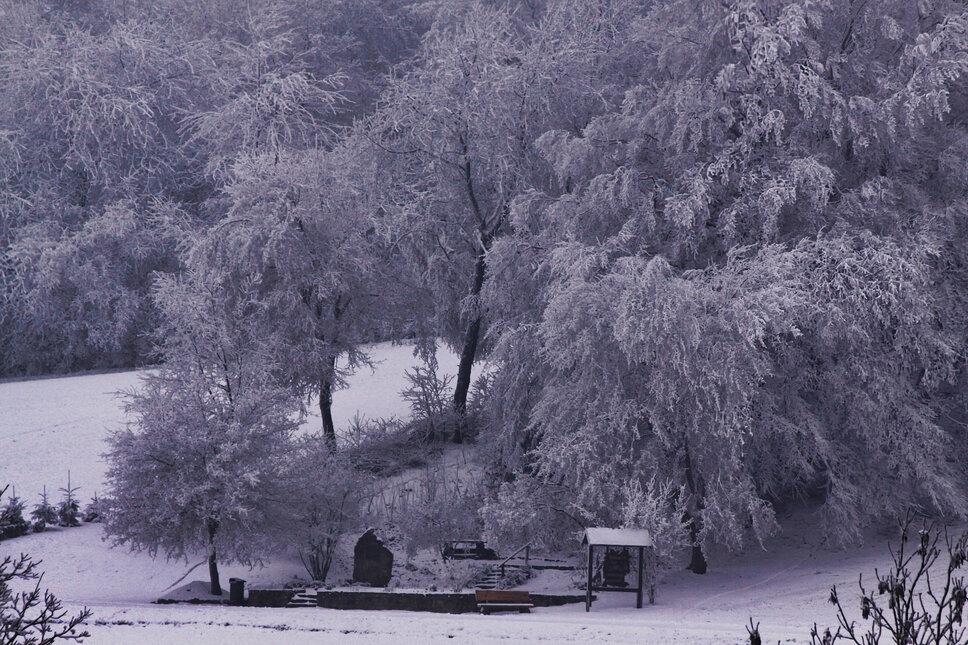 © www.heiligenstadt.net