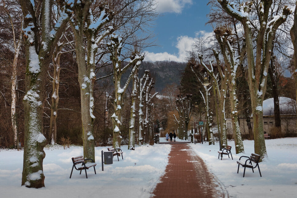 © www.heiligenstadt.net