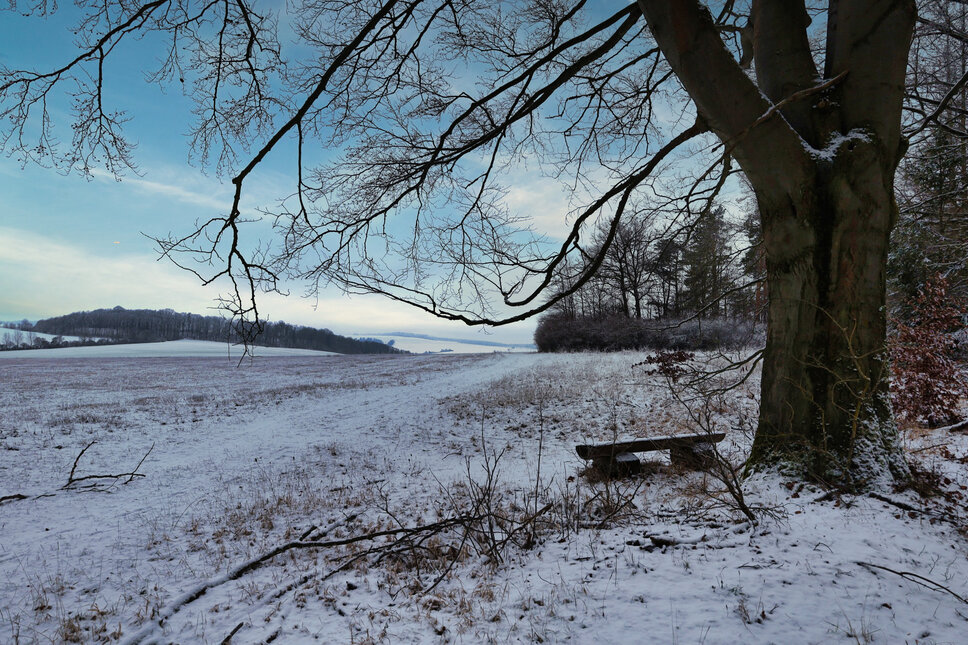 © www.heiligenstadt.net