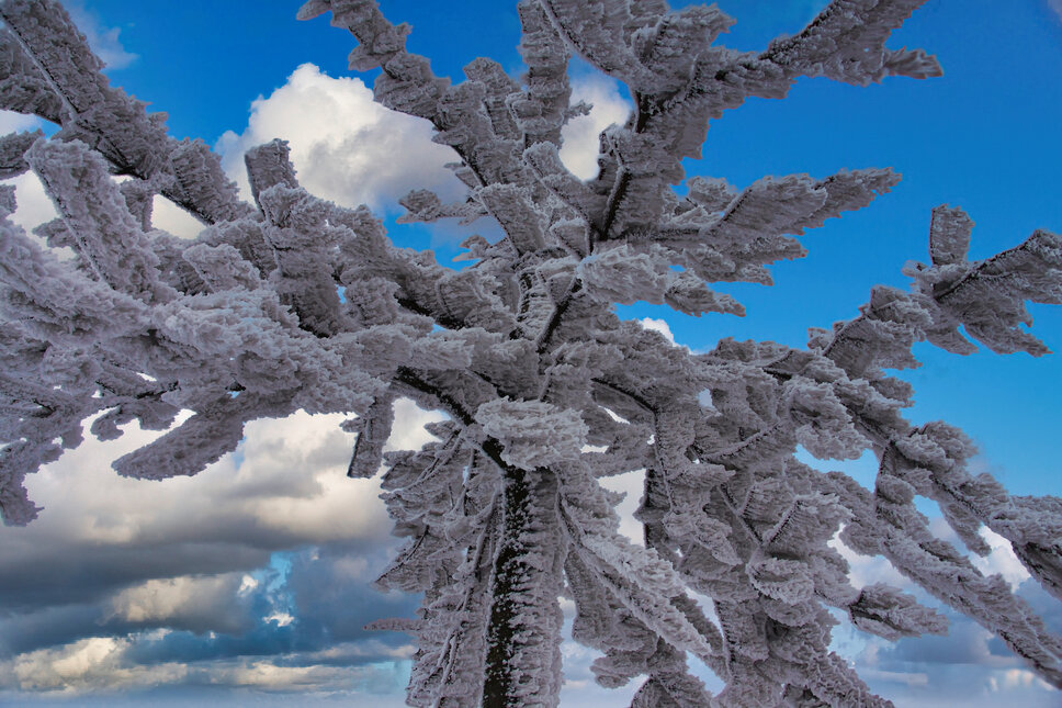 © www.heiligenstadt.net