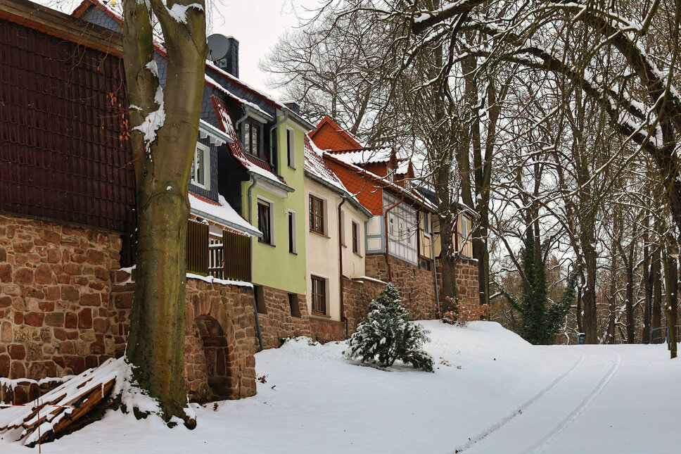 Scheuche Heiligenstadt 2026 TS © www.heiligenstadt.net