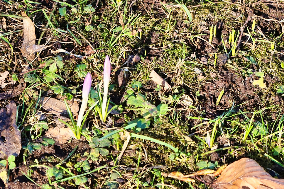 © www.heiligenstadt.net